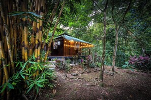 A wooden cabin surrounded by bamboo and dense foliage, with a porch and string lights. - Wooden Cabin with Yoga deck over Creek, Walk to the Beach (Puntarenas Province)