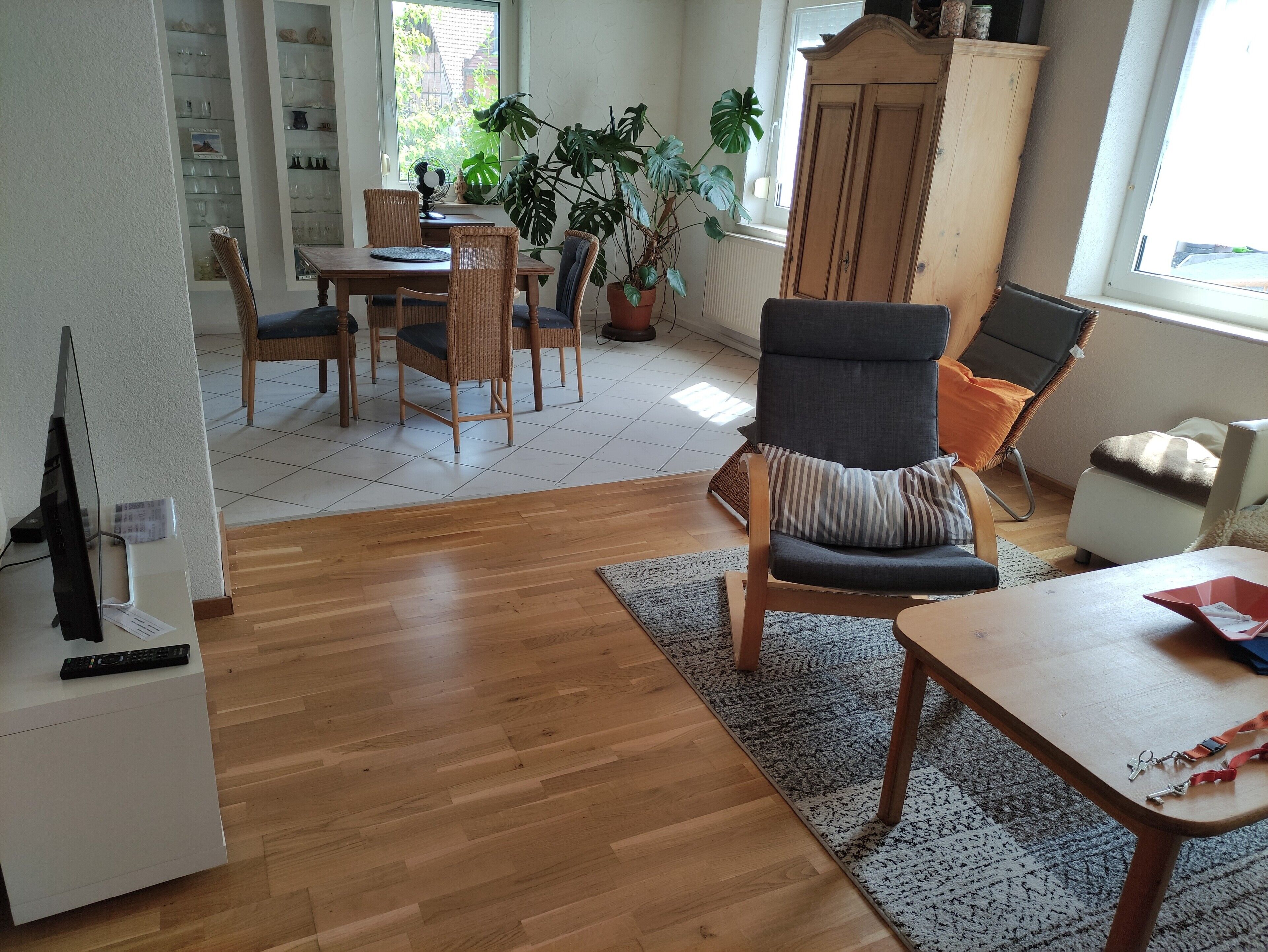 Un salon comprenant un coin repas, un plancher en bois, une grande plante en pot, un meuble et un téléviseur.