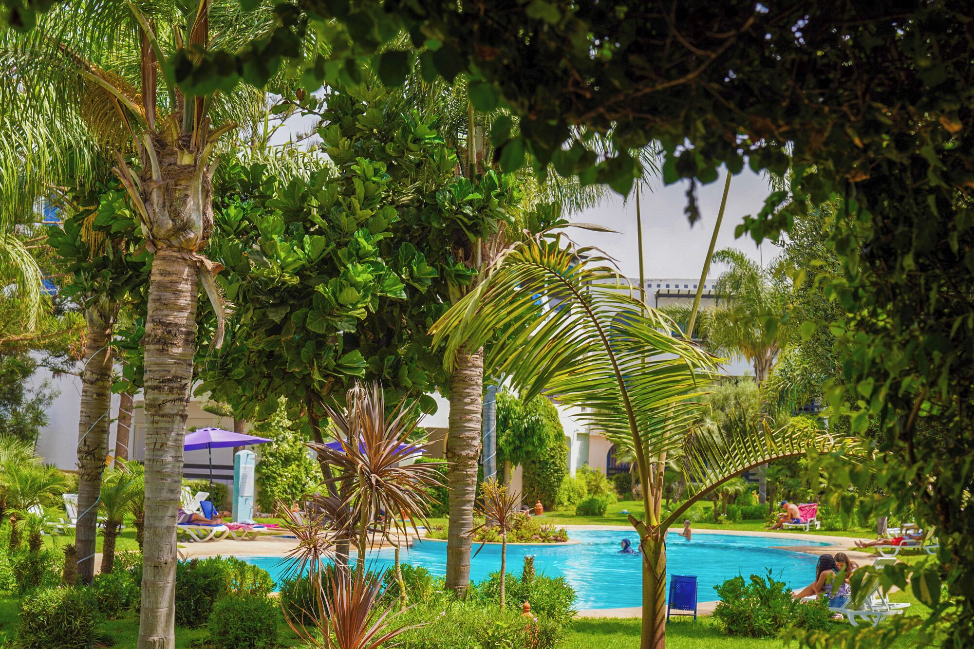 Une piscine entourée de palmiers et d’une végétation luxuriante, avec des chaises longues et des parasols.