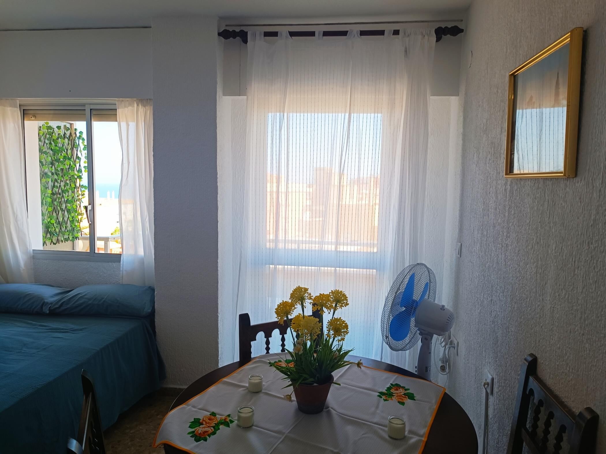 A room with a bed, a table with a plant, a fan, and a window with curtains.