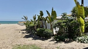 Uma praia com uma fileira de palmeiras e um edifício ao fundo.