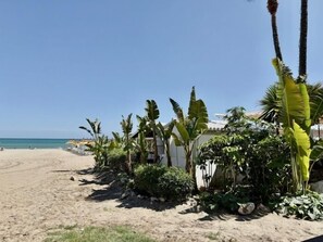 Una platja amb una filera de palmeres i un edifici al fons.