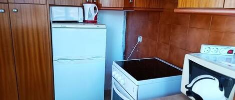 A compact kitchen with a refrigerator, microwave, stove, and sink.