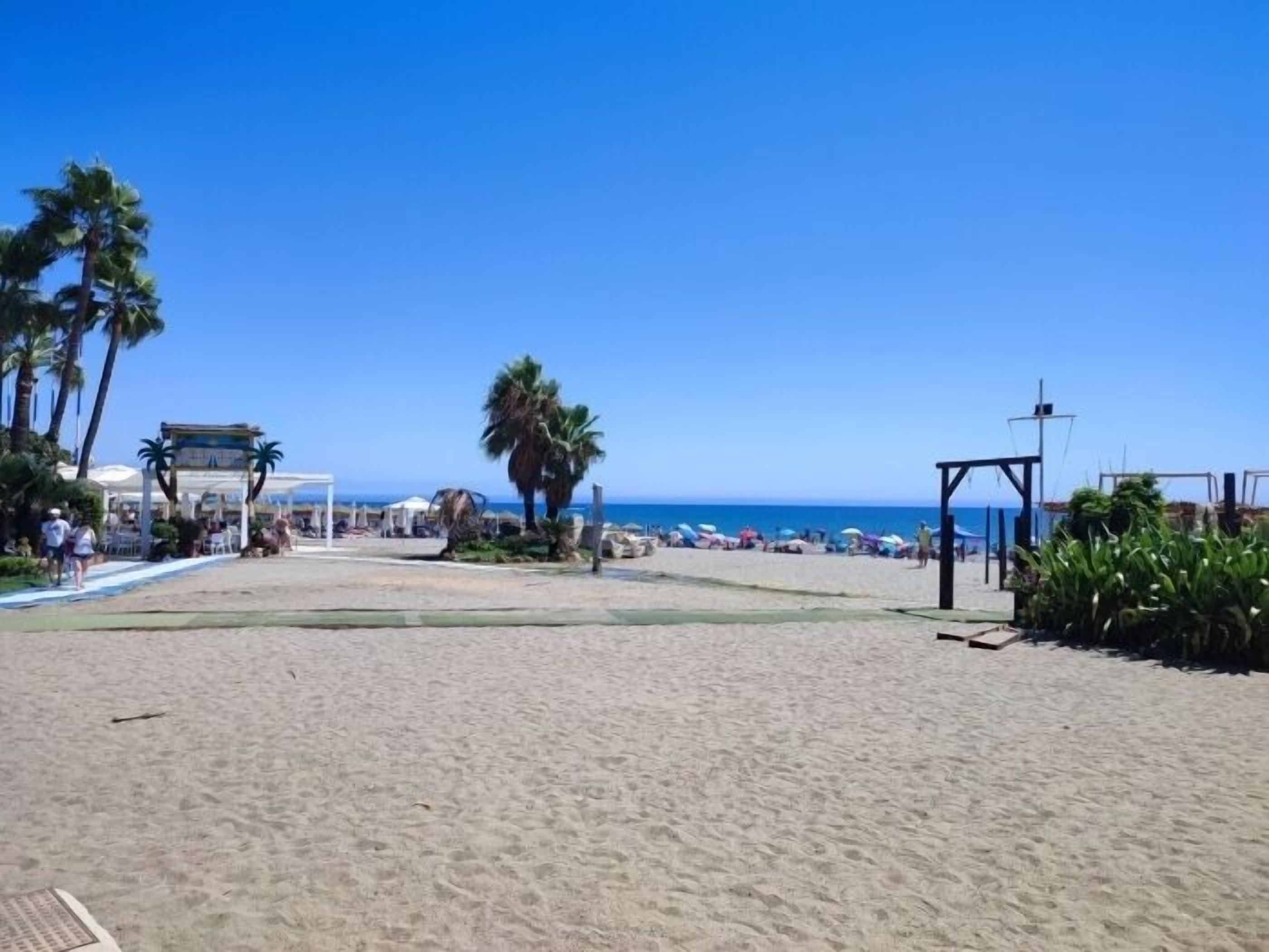 Ein Strand mit blauem Himmel, Palmen und einigen Sonnenschirmen.