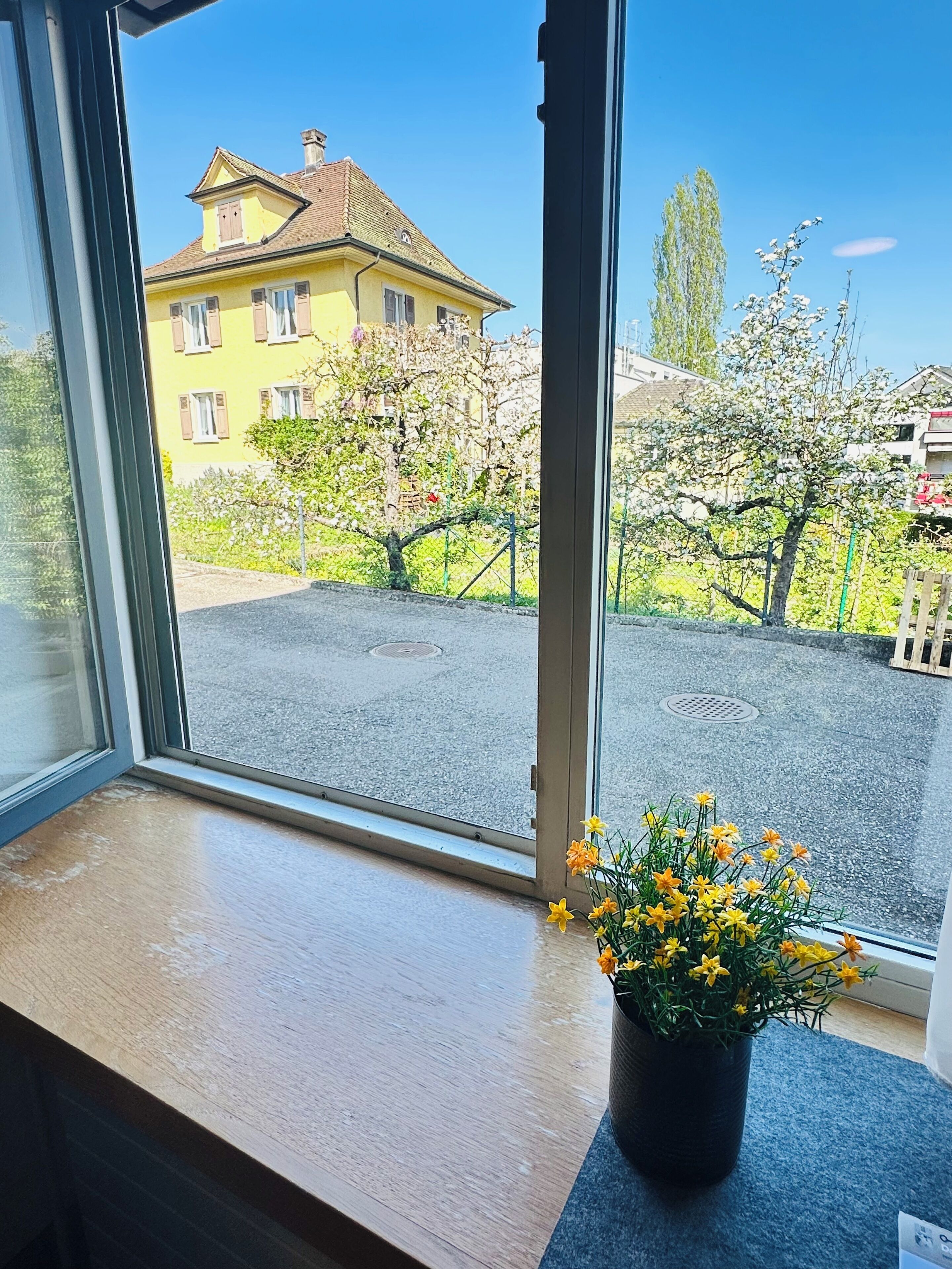 Ein Fenster mit Blick auf ein gelbes Gebäude, ein Blumentopf mit gelben Blüten und ein klarer, blauer Himmel.