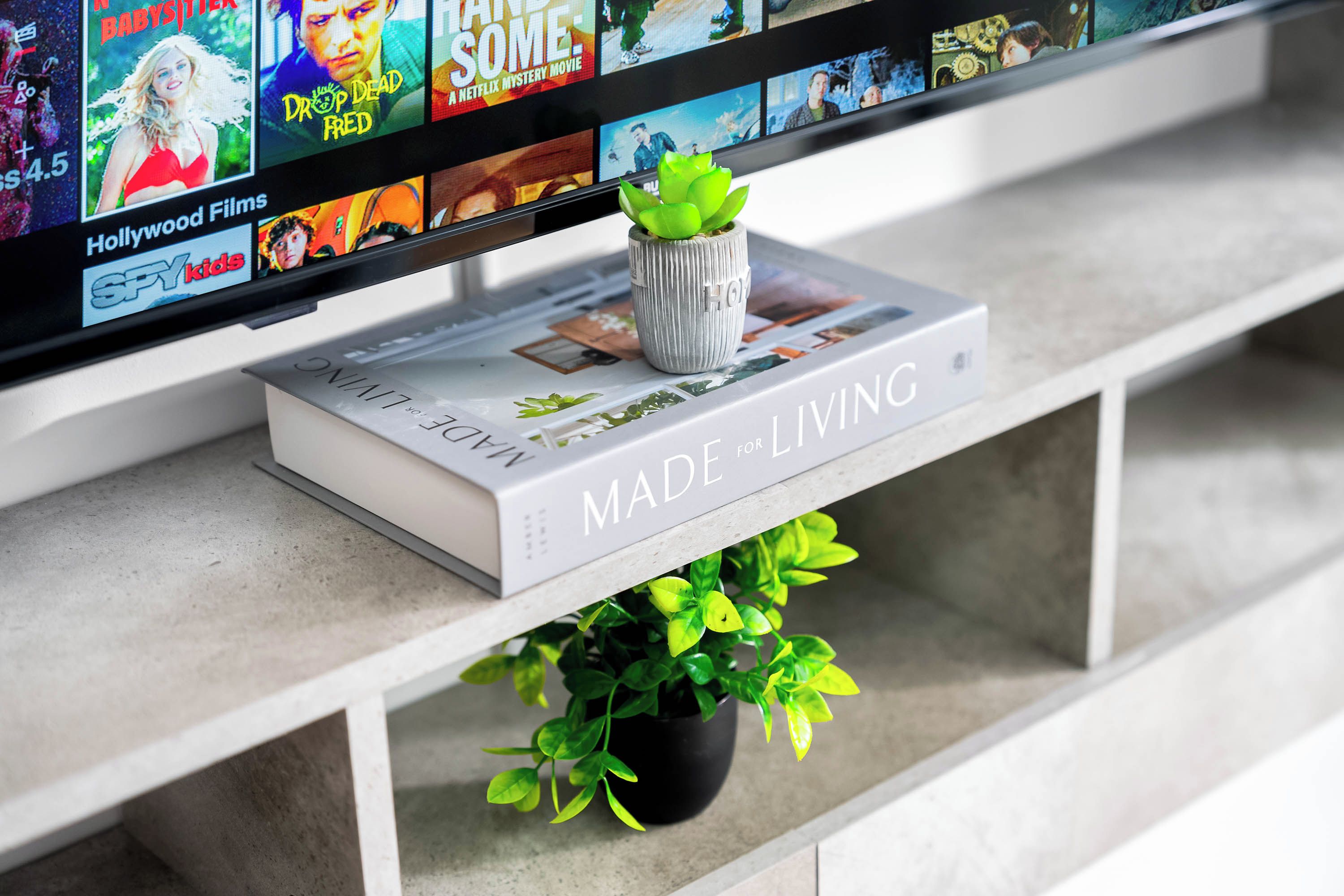 Ein Flachbildfernseher auf einem Regal, zusammen mit einem Buch mit dem Titel 'MADE FOR LIVING' und einem kleinen Blumentopf.