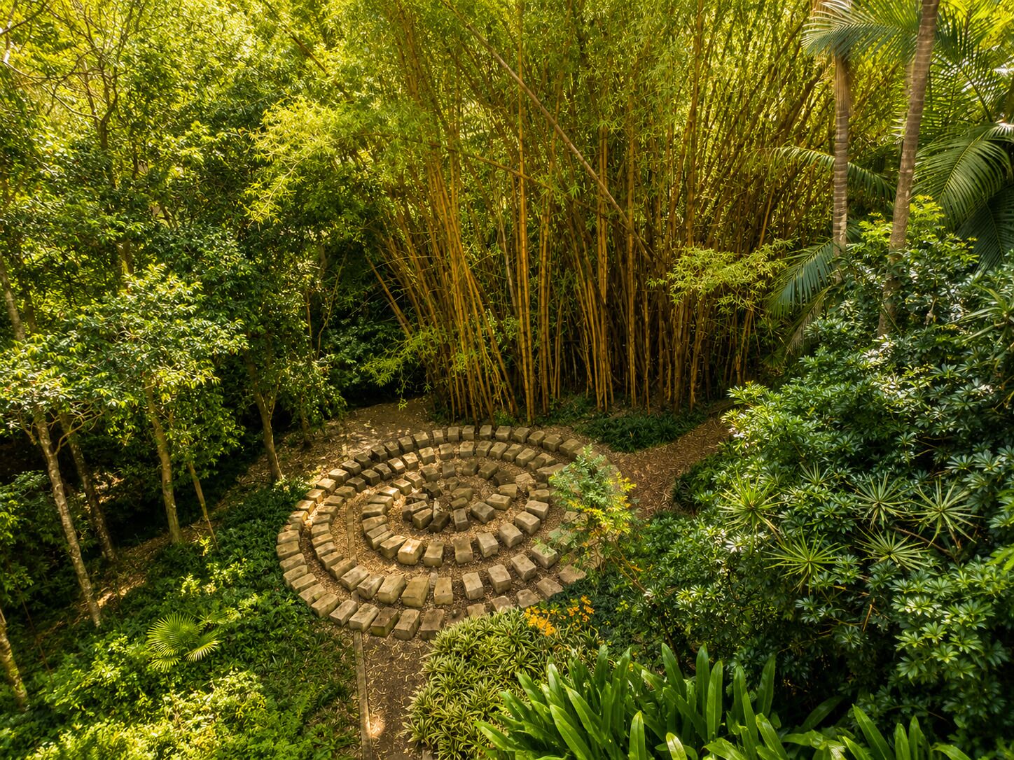 A circular stone pathway surrounded by dense bamboo and tropical foliage.