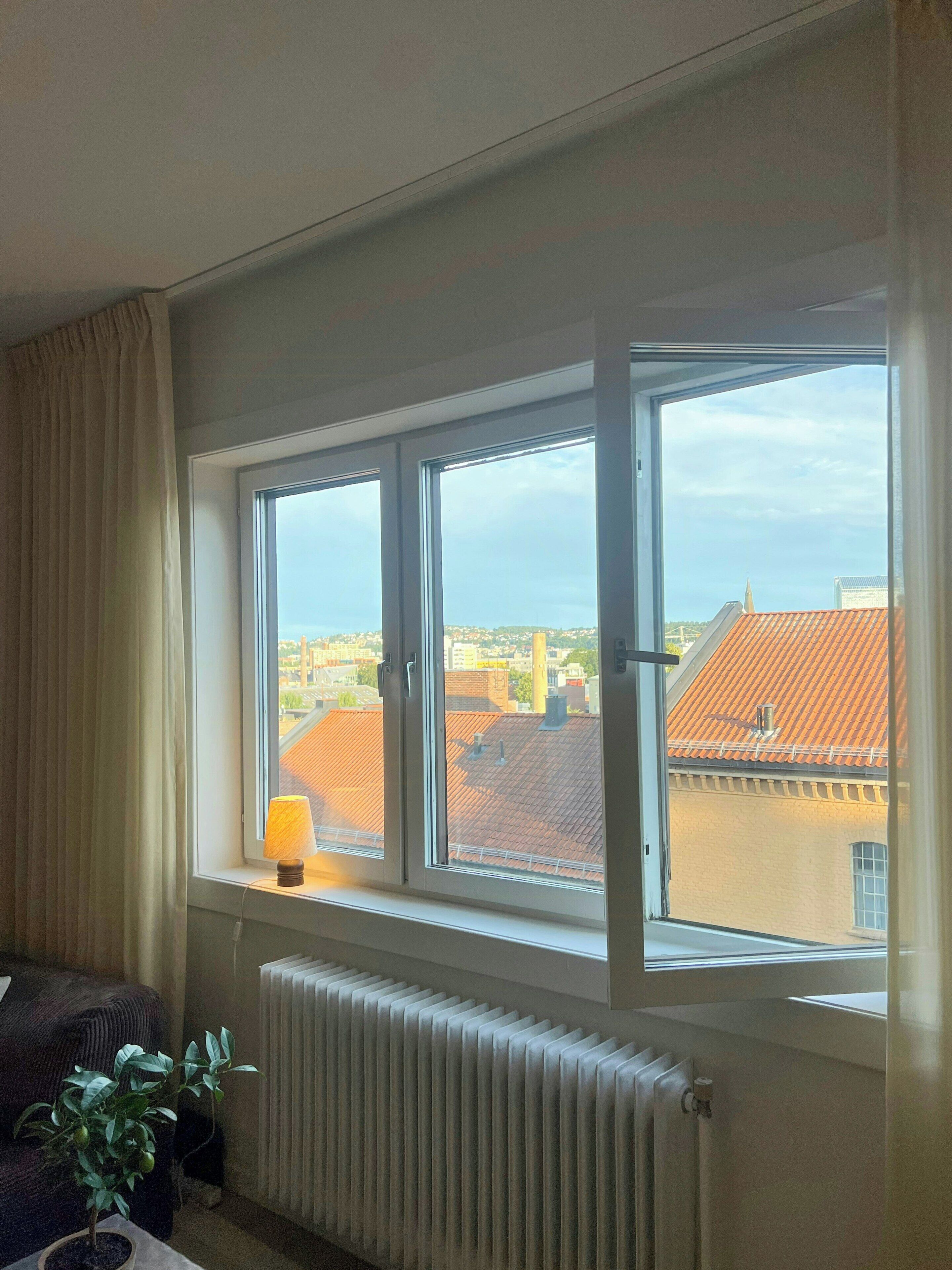 A room with a large window, a radiator, a potted plant, and a lamp on a windowsill.