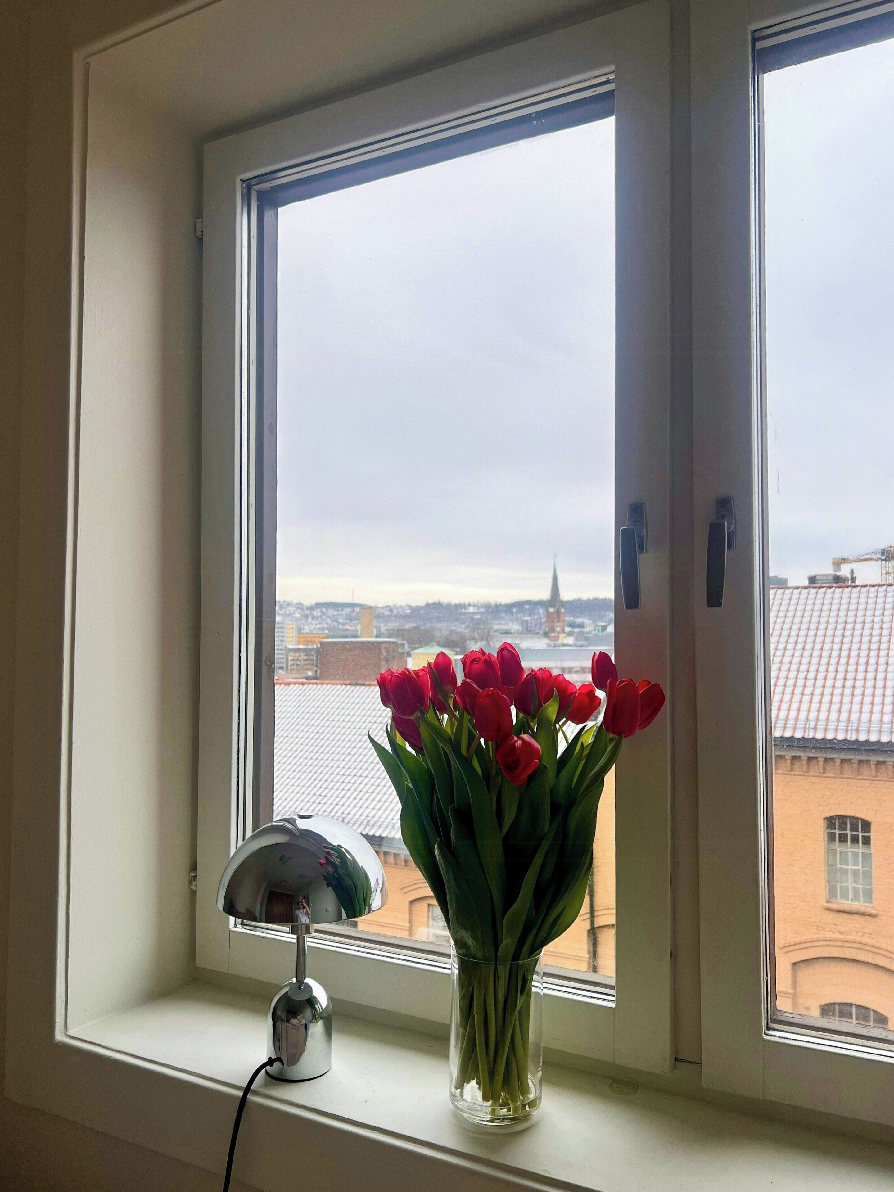 A window with a clear view of a cityscape, a vase with red flowers, and a lamp on the windowsill.