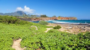 A coastal landscape with a dirt path leading to the beach, surrounded by lush greenery and rocky cliffs.
