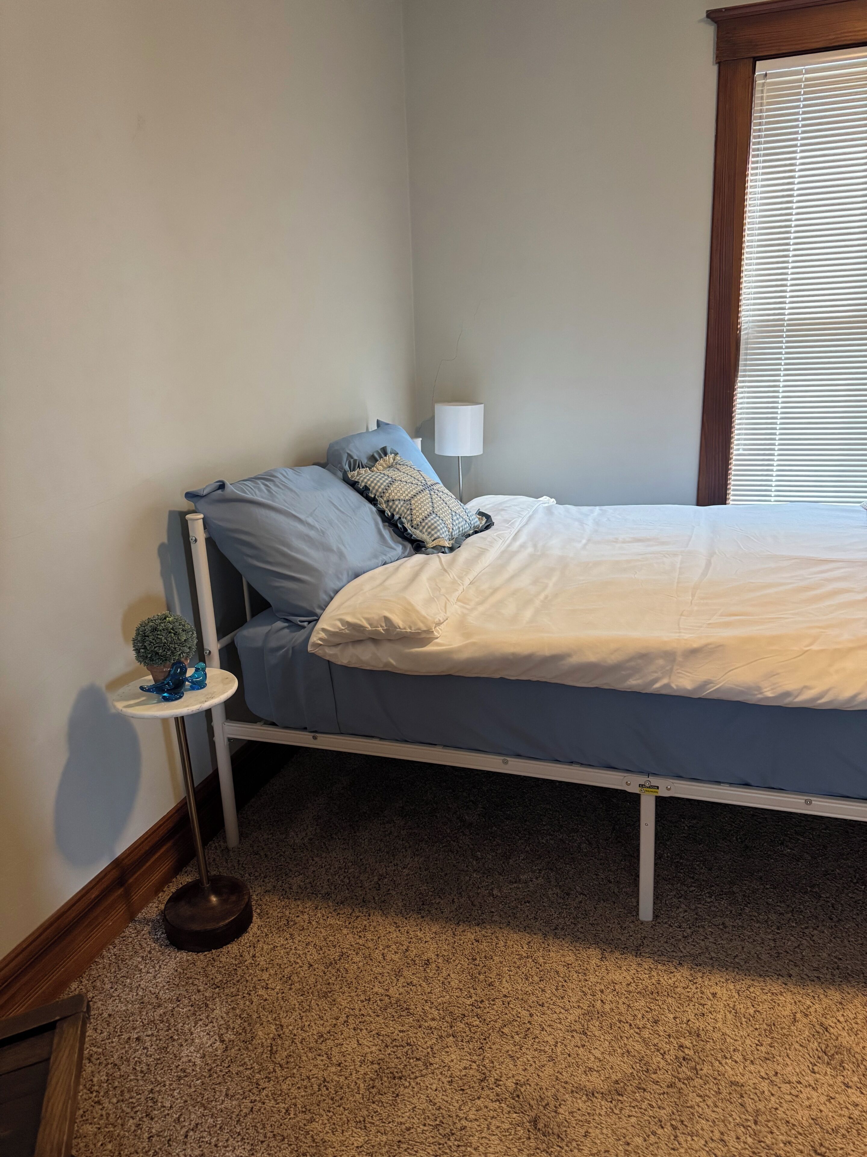 A bedroom with a single bed, a bedside table with a lamp, and a small potted plant.