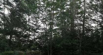 Birchwood Bunky | Tranquil off grid cabin close to Saint Martins.
Dog friendly!