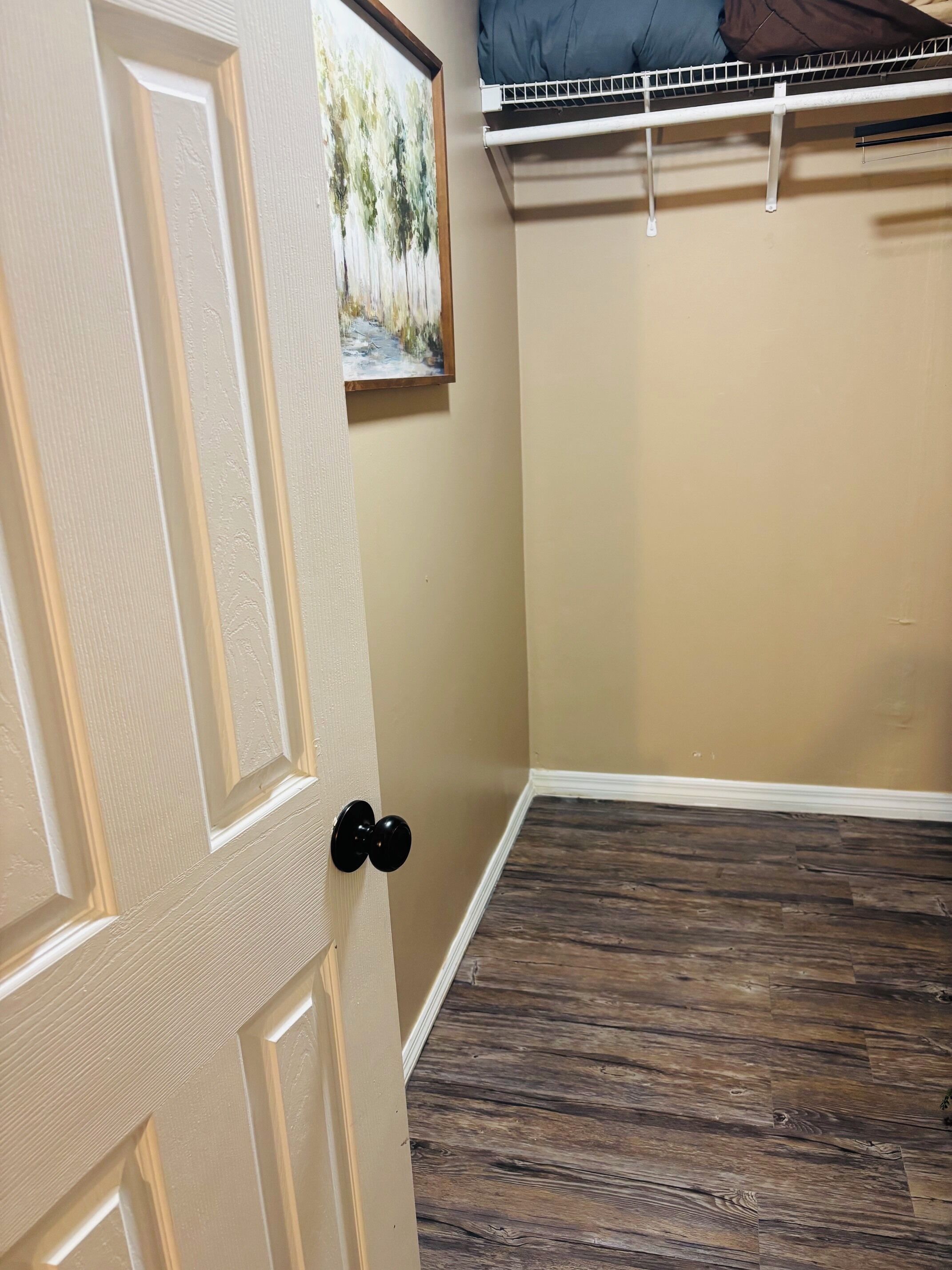 Quarto com piso de madeira, porta branca e um quadro na parede.