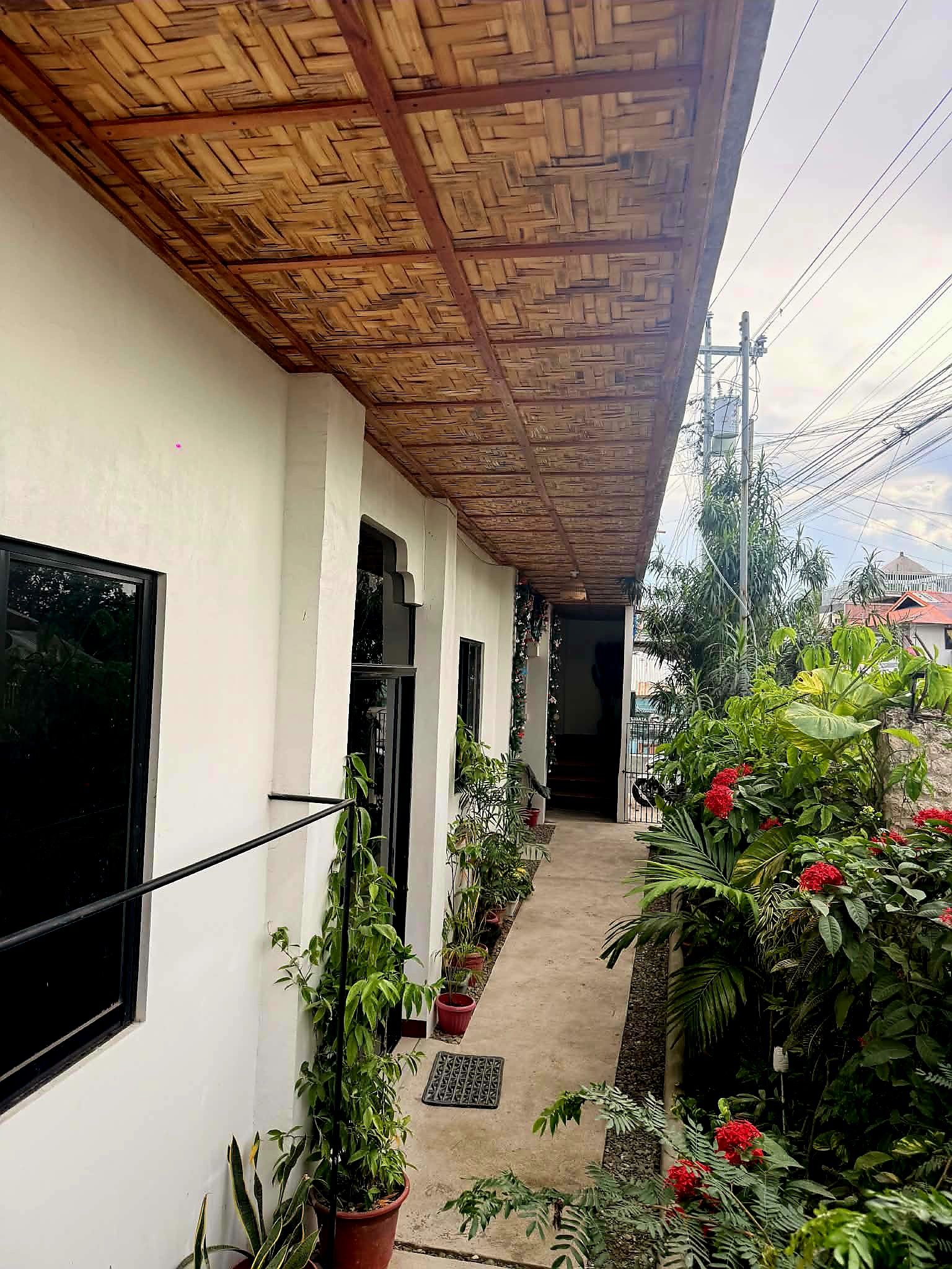 A covered walkway with potted plants and a view of a residential area.
