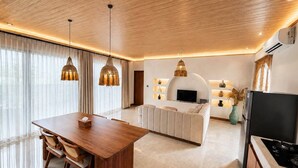 A modern living room with a sofa, a TV, and a fireplace. - Casa Anagata Pandawa (Badung)