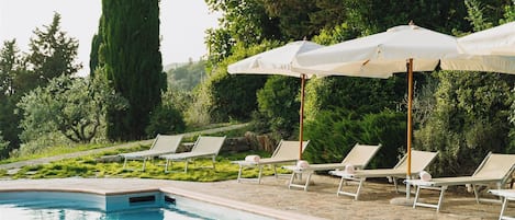 Un área junto a la piscina con sillones de descanso y sombrillas, rodeada de vegetación.