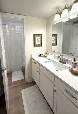 A bathroom with a white sink, a mirror, and a shower curtain. - Cozy 2-bedroom, beautifully decorated, great location. (Oxford)