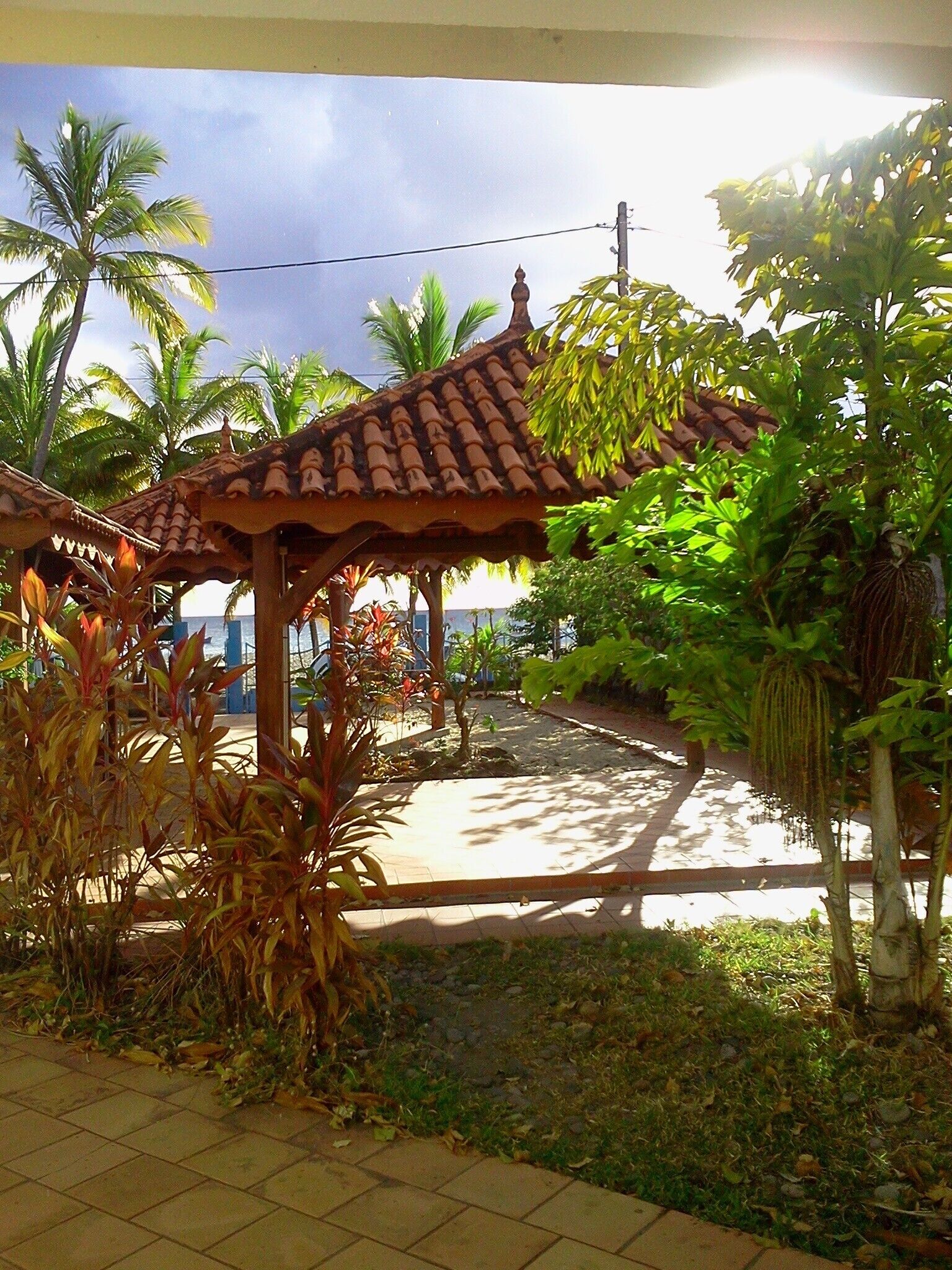 A covered outdoor area with a tiled roof, surrounded by tropical plants and palm trees.
