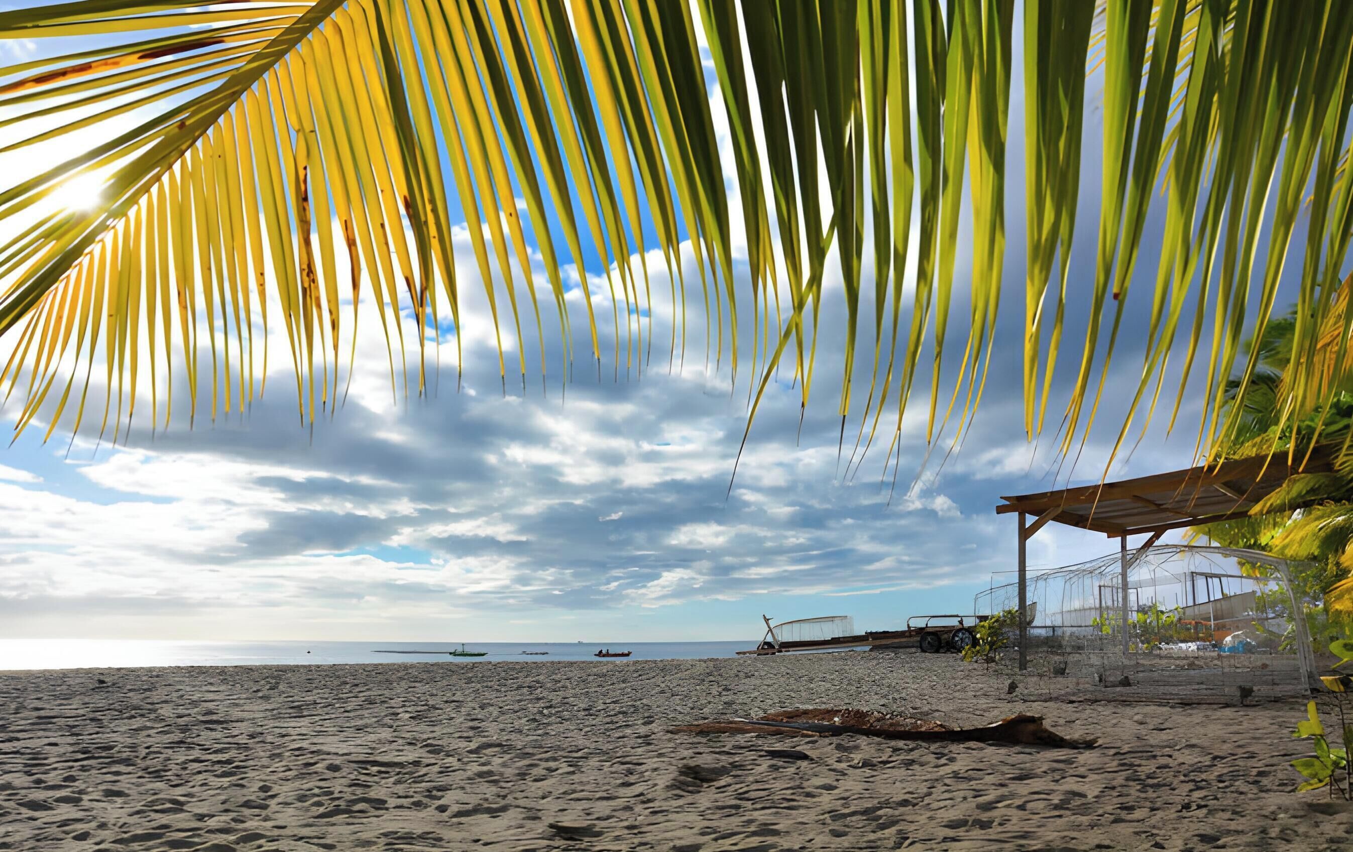 A beach with palm trees, a boat, and a structure with a roof.