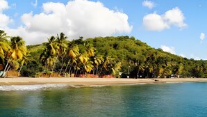 Uma praia com palmeiras e uma colina ao fundo.
