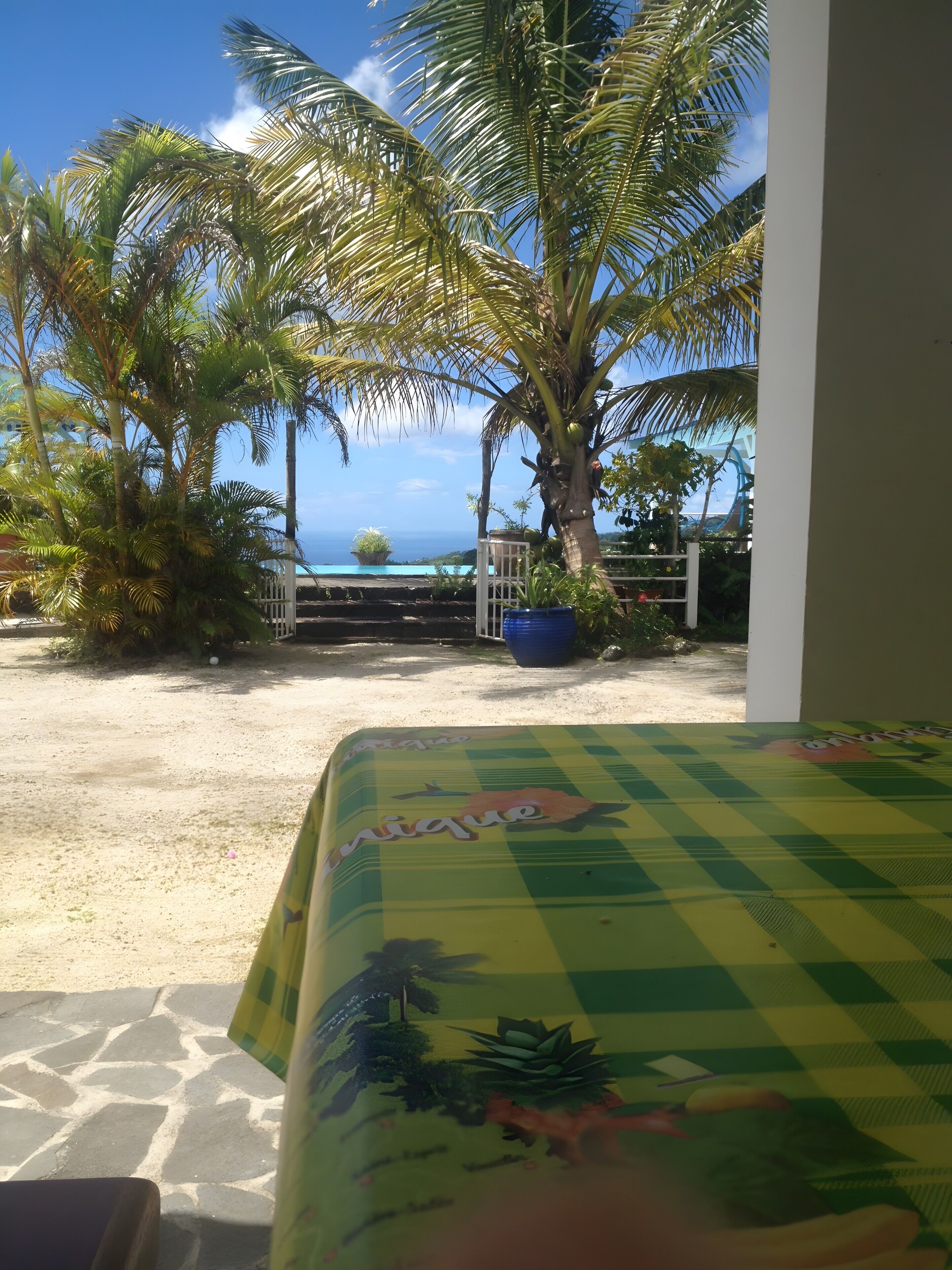 Une chambre avec vue sur une plage et des palmiers, une couvre-lit à carreaux et une plante en pot.