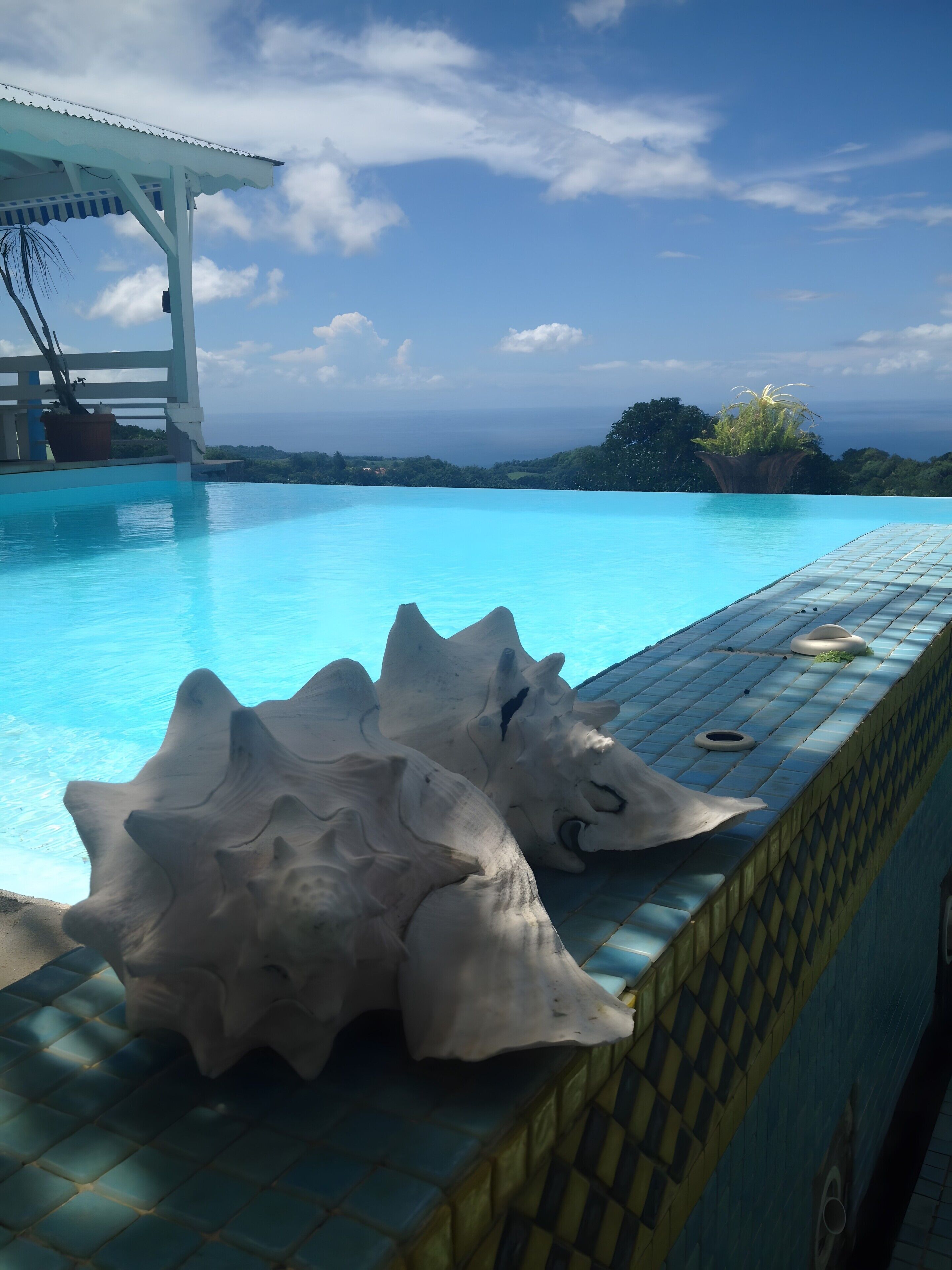 A pool with a unique shell-shaped edge design, a white pergola, and a view of the ocean.