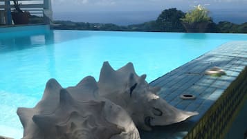 A pool with a unique shell-shaped edge design, a white pergola, and a view of the ocean.