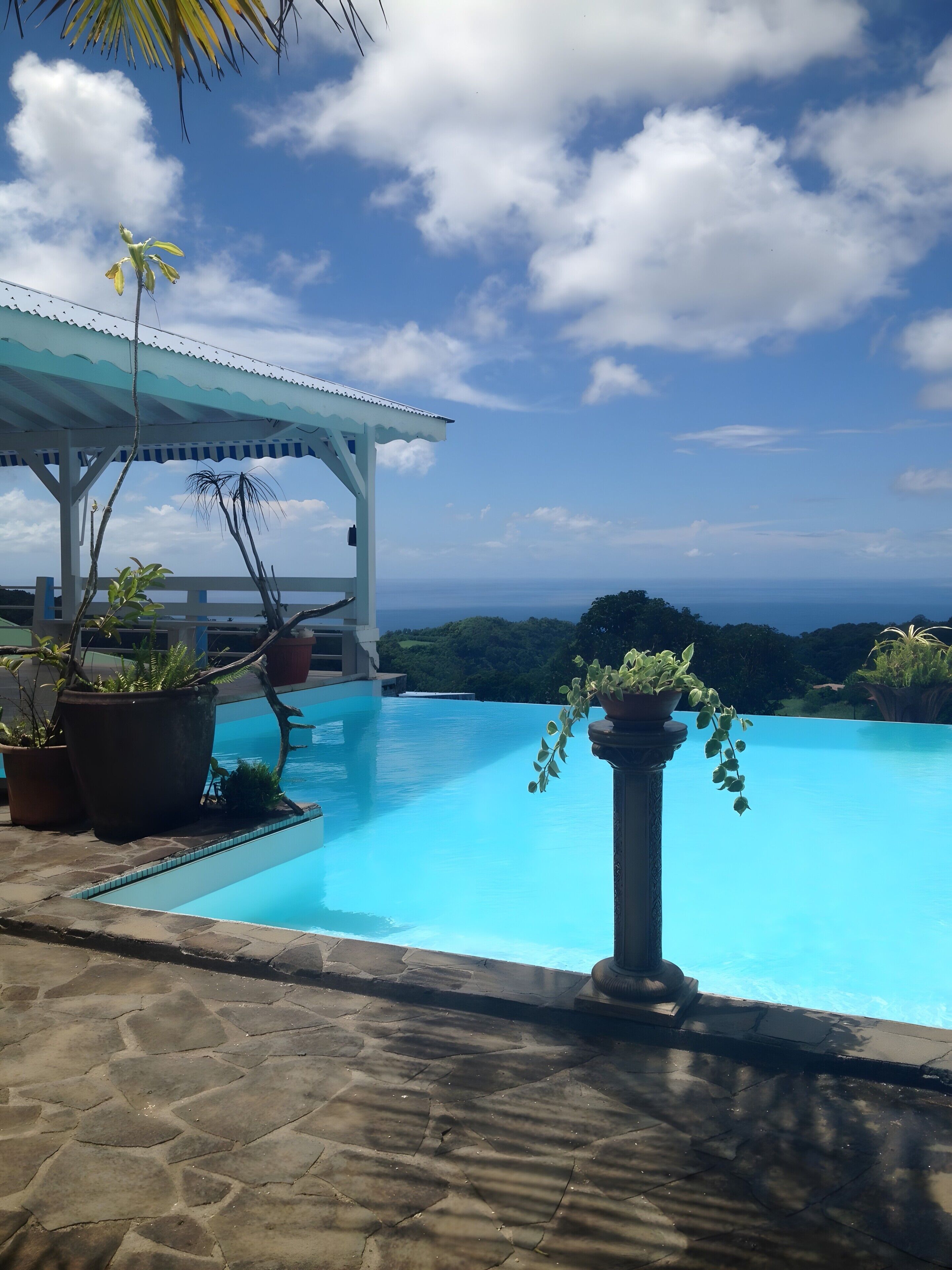 Une piscine avec vue sur l’océan, entourée de plantes en pot et dotée d’un espace abrité.