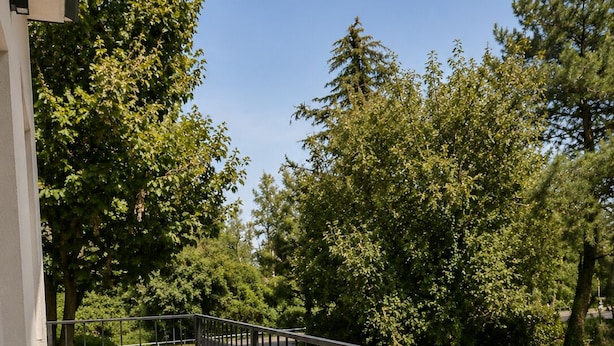 Un balcon avec une table et des chaises en bois, un pot de fleurs et une rambarde en métal donnant sur une rue bordée d’arbres.