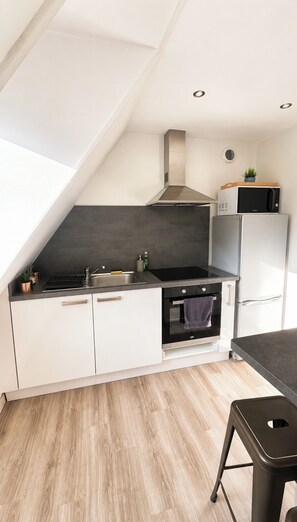 A compact kitchen with a built-in oven, a microwave, and a stainless steel sink. - Le Cocon des Cordiers, Historic District (Mulhouse)