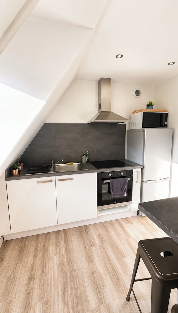 A compact kitchen with a built-in oven, a microwave, and a stainless steel sink. - Le Cocon des Cordiers, Historic District (Mulhouse)