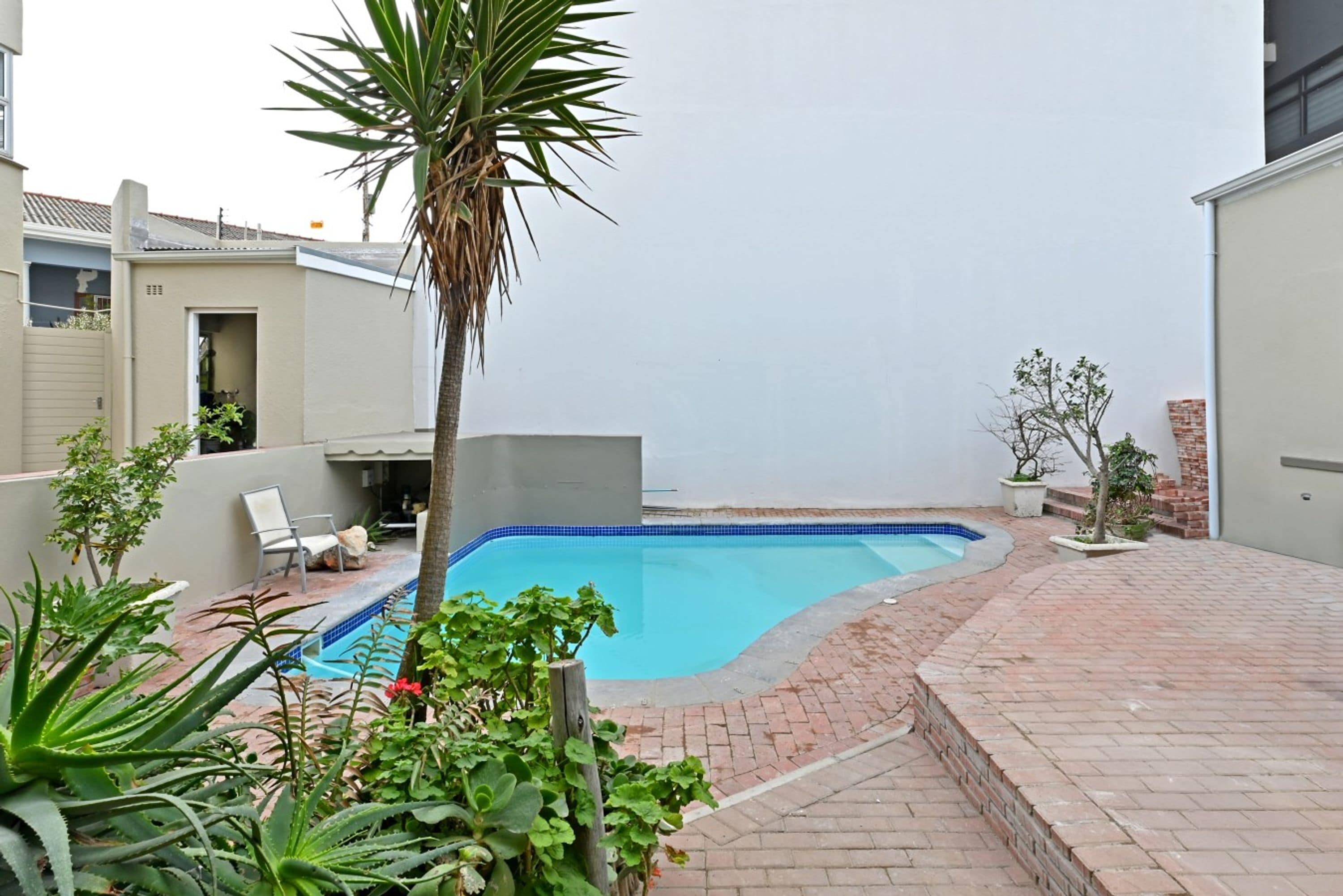 A swimming pool with a brick border, surrounded by potted plants and a palm tree.