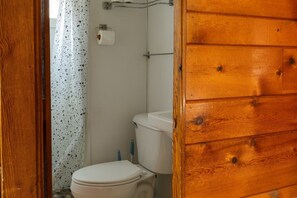 Ein Badezimmer mit Toilette, Duschvorhang und Holztür.