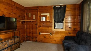 Quarto com paredes de madeira, televisão, janela pequena com cortina, sofá e cômoda.