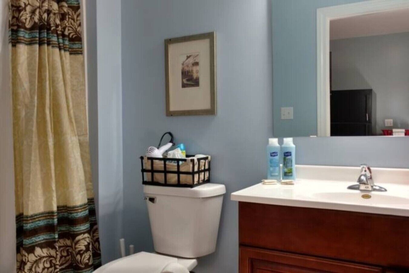A bathroom with a toilet, a sink with toiletries, a framed picture on the wall, and a shower curtain.