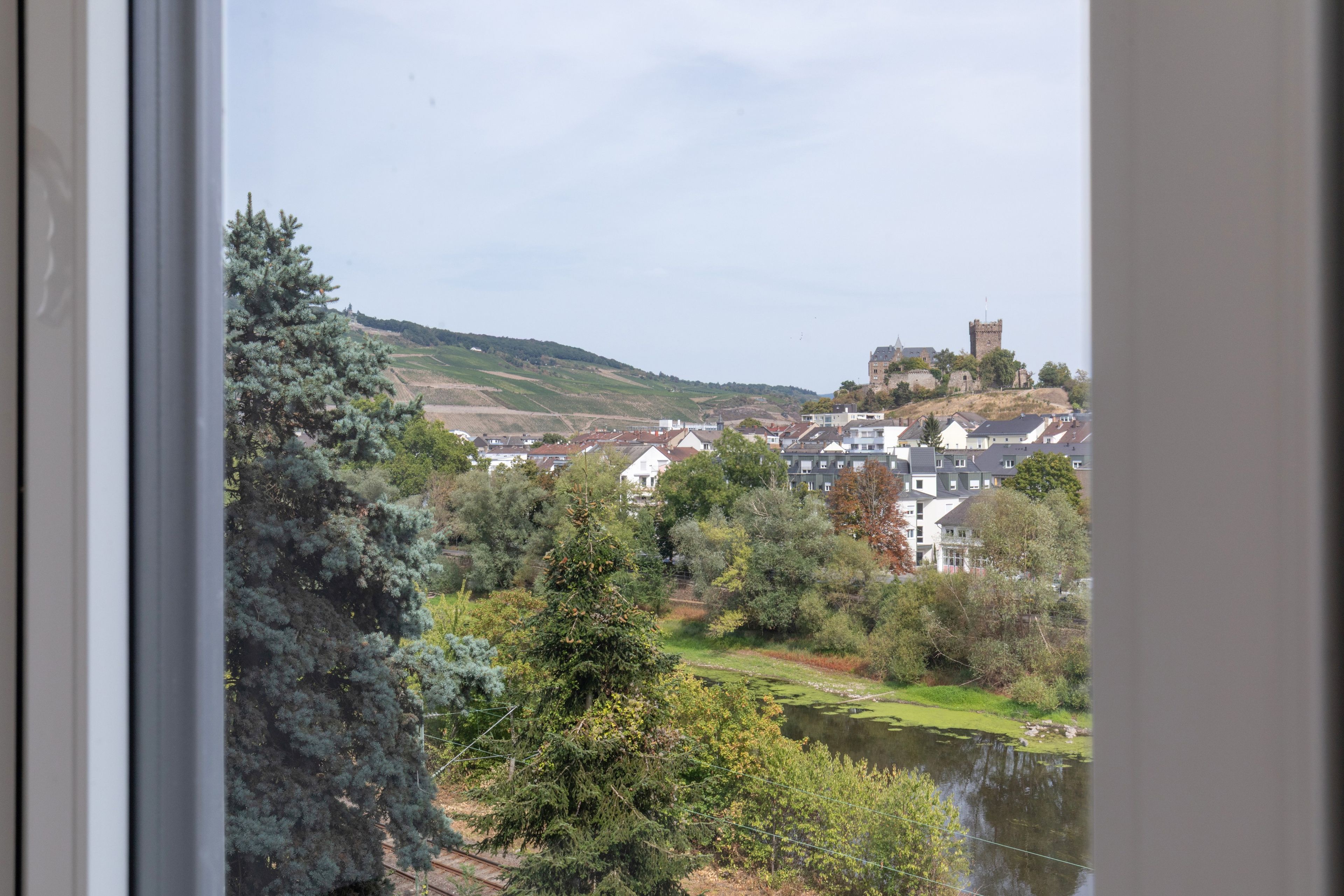 A view of a town with a castle on a hill, houses, and a river.