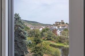 A view of a town with a castle on a hill, houses, and a river.