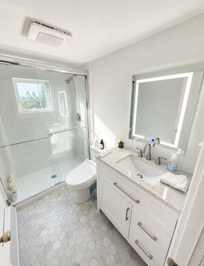 A modern bathroom with a glass-enclosed shower, a toilet, and a vanity with a mirror. - Coastal cottage 1 block to the beach and 1 block to the bay (Barnegat Light)