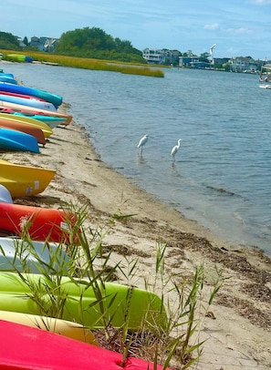 Een strand met kleurrijke kajaks op een rij langs de oever en twee witte vogels die in het ondiepe water staan.