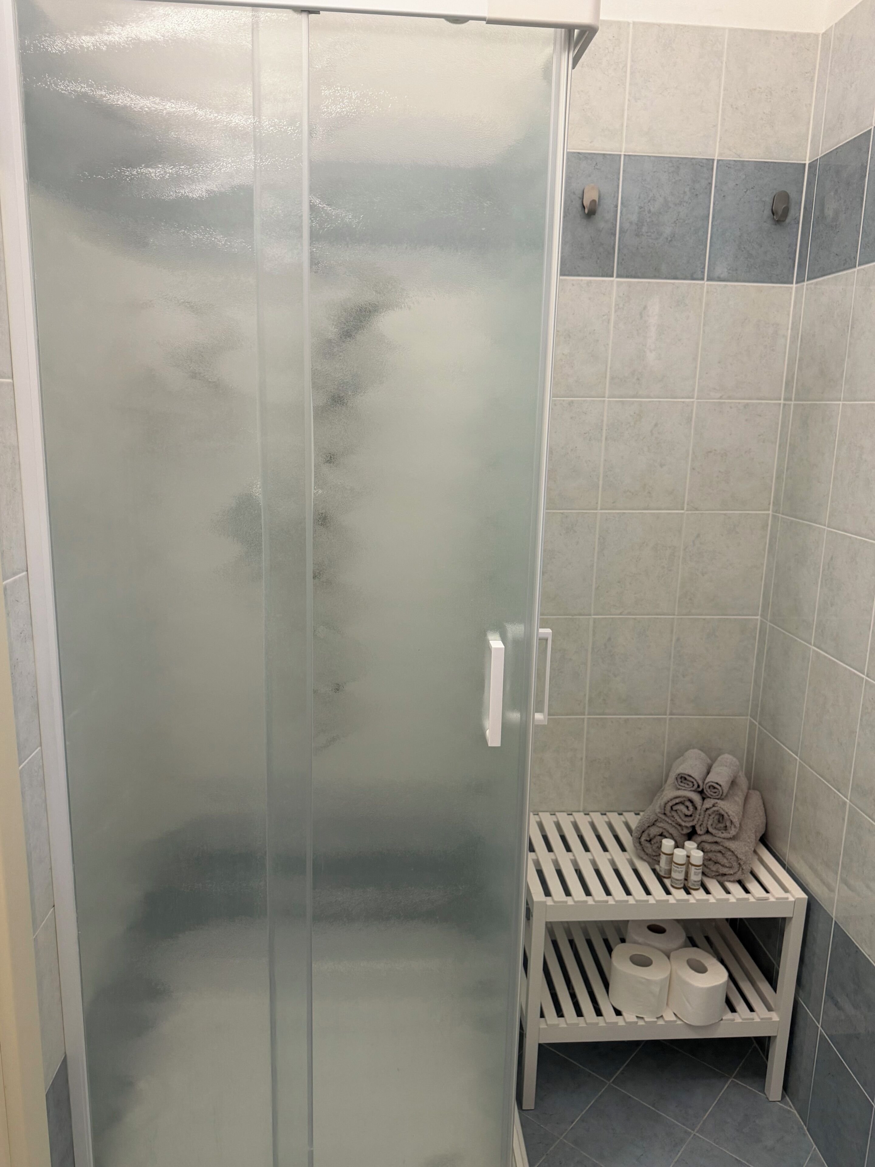 Shower, hair dryer, bidet, towels
