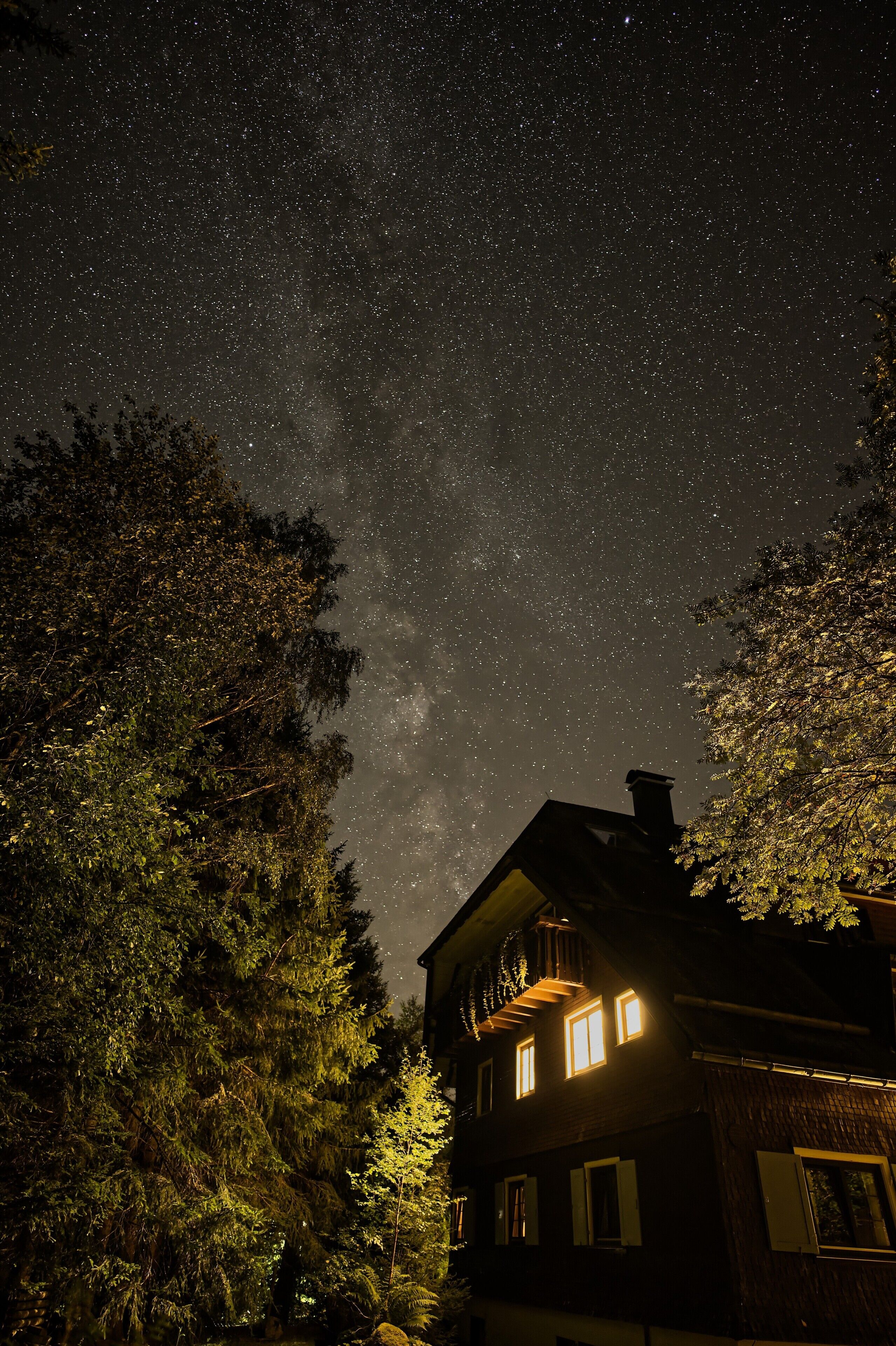 Ein Haus mit sichtbarer Treppe und Fenstern, umgeben von dichten Bäumen unter einem sternenübersäten Nachthimmel.