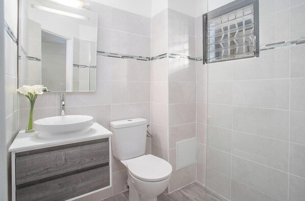 Bathroom - The Jewel of Terreville.  T1. 5 minutes from the beaches. (Schœlcher)