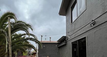 Newly remodeled house just steps from the beach and the wetland