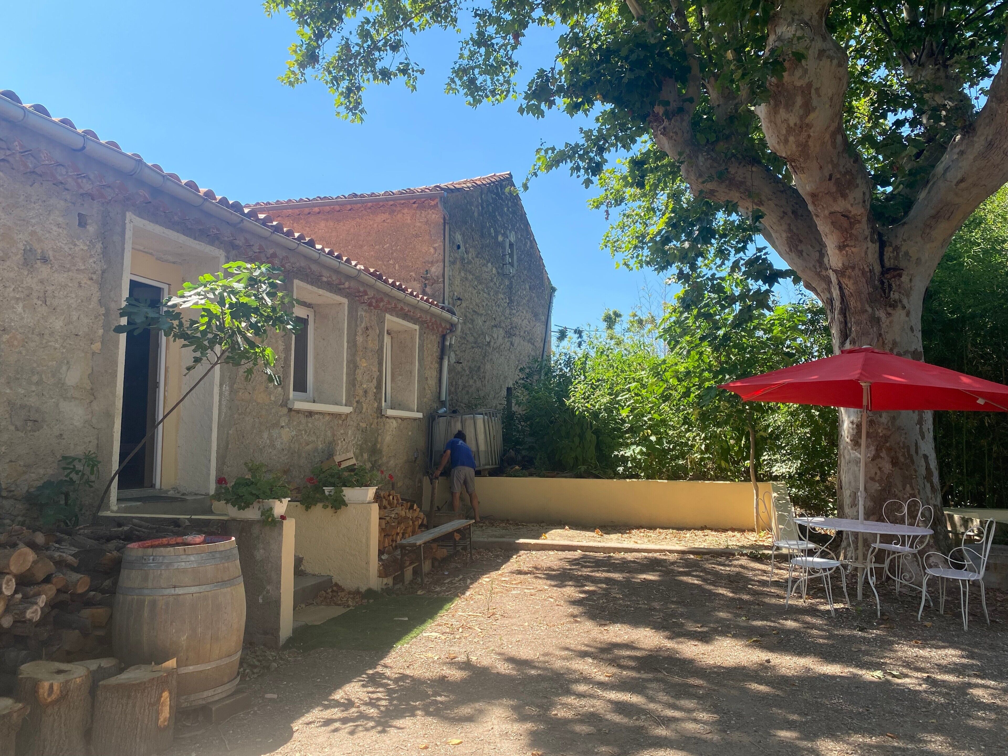 A rustic courtyard with a wooden barrel, a tree, and a red umbrella.