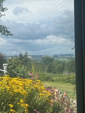 Uitzicht door een raam op een bewolkte lucht en een verafgelegen landschap.