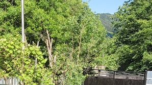 A fenced outdoor area with trees and a gravel path.