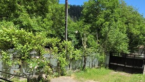 A fenced outdoor area with a gravel path, a metal railing, and lush green trees.