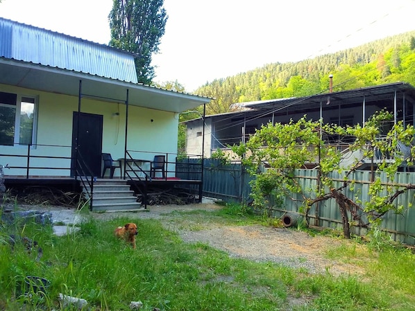 A two-story building with a covered porch, a fenced yard, and a dog in the foreground.