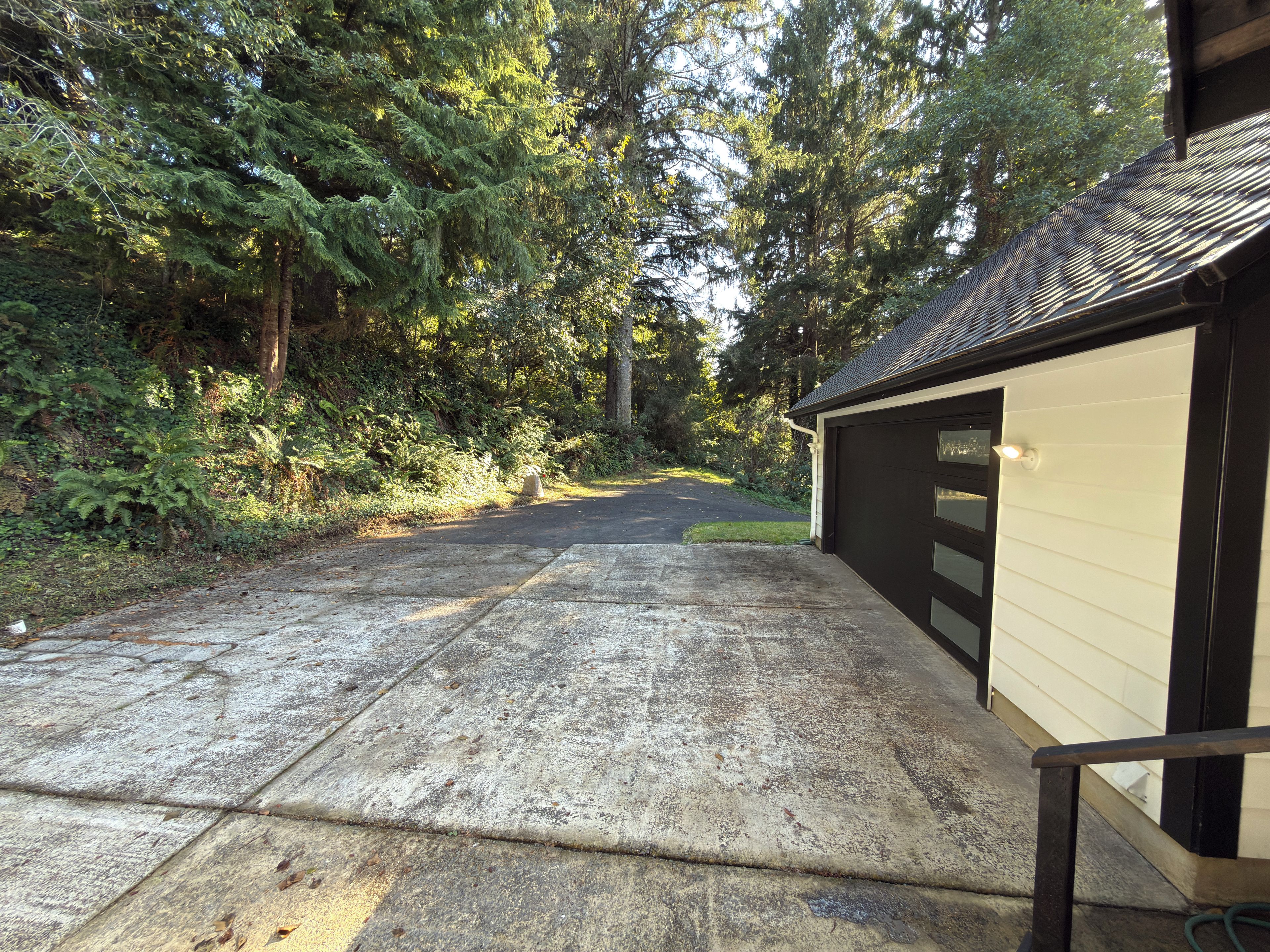 A concrete driveway leading to a garage with a black roof, surrounded by dense greenery and trees.