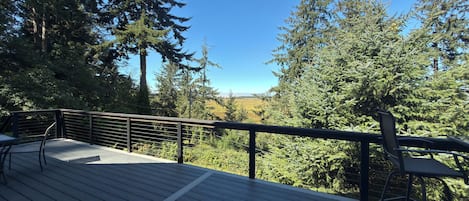 Una terraza de madera con barandas de metal, con vistas a una zona boscosa y una lejana perspectiva del paisaje.